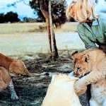 Virginia McKenna