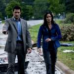 Sarah Wayne Callies, Richard Armitage