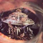 Raquel Welch, Donald Pleasence, William Redfield, Stephen Boyd