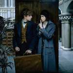 Eddie Redmayne, Katherine Waterston