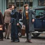 Katherine Waterston, Eddie Redmayne