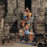 Rhys Wakefield, Natasha Gott, Taser Hassan, Freddie Stroma, Darius Homayoun, Toby Sebastian, James D'Arcy, Maia Mitchell, Bonnie Wright, Katie Findlay, Sophie Lowe, Abhi Sinha, Jacob Artist, Hope Olaide W