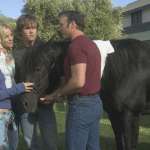 Alison Lohman, Ryan Kwanten, Maria Bello, Tim McGraw