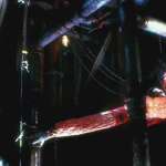 Lisa Zane, Robert Englund