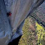 Alex Honnold