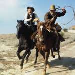 Gene Wilder, Harrison Ford