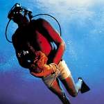 Nick Nolte, Jacqueline Bisset