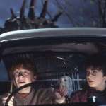 Rupert Grint, Daniel Radcliffe