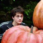 Daniel Radcliffe