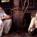 Daniel Craig, Toni Collette