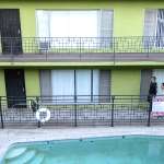 Gad Elmaleh, Scott Keiji Takeda