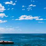 Robin Wright, James Frecheville, Naomi Watts, Xavier Samuel