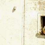 Edward Hogg, Alexandra Maria Lara