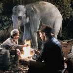 Jonathan Ke Quan, Harrison Ford