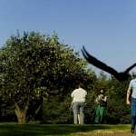 Ali Kazim, Ulrich Thomsen, Nicolas Bro