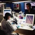 Pauley Perrette, Michael Weatherly