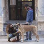 Victor Rasuk, Lake Bell