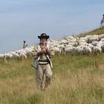 V&aacute;clav Jir&aacute;ček