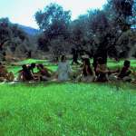 Ted Neeley, Carl Anderson