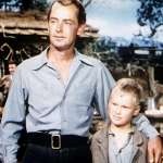 Alan Ladd, Brandon De Wilde