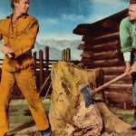 Van Heflin, Alan Ladd