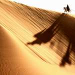 William Fichtner, Armie Hammer