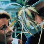 Craig Ferguson, Brenda Blethyn