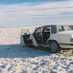 Tilda Swinton, Aidan Gould