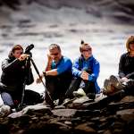 Łukasz Wolf, Lindsay Tullis, Chris Tullis, Hania Piotrowska