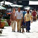 Zach Galifianakis, Bradley Cooper, Ed Helms