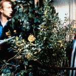 William Hurt, Juliette Binoche