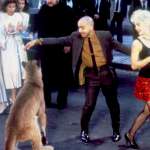 Coati Mundi, Madonna