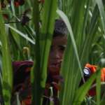 Hern&aacute;n Mauricio Ocampo