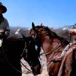 Cole Hauser, Billy Crudup