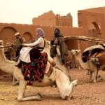 Moustaati Hamza, Nicole Kidman, Jay Abdo