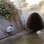 Joseph Gordon-Levitt