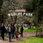 Scarlett Johansson, Colin Ford, Elle Fanning, Patrick Fugit, Maggie Elizabeth Jones, Carla Gallo, Matt Damon