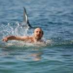 Wojciech Mecwaldowski