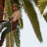 Demi&aacute;n Bichir