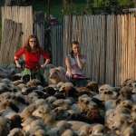 Ioana Barbu, Maria Popistaşu