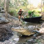 Steve Irwin, Terri Irwin