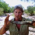 Steve Irwin