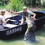 Steve Irwin, Terri Irwin