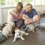 Owen Wilson, Jennifer Aniston