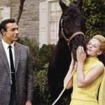 Sean Connery, Tippi Hedren