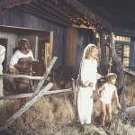 Kim Basinger, Liam Aiken, Lance Reddick, Connie Chiume