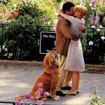 Meg Ryan, Tom Hanks