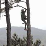 Mia Helene Solberg Brekke