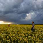 Liam Hemsworth, Teresa Palmer