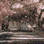 Tobey Maguire, Reese Witherspoon